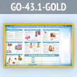 ����� ��������������������� ������������� � 2-�� ��������� �4 ��������� (GO-43.1-GOLD)